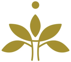 Costellazioni Familiari Academy
